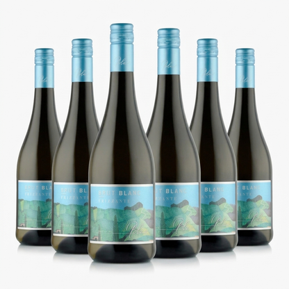 Brut Blanc Frizzante